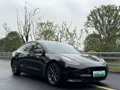 Tesla Model 3 Standard Range RWD Upgrade 3D6 - ფოტო 2