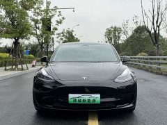 Tesla Model 3 Standard Range RWD Upgrade 3D6 - ფოტო 3