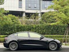 Tesla Model 3 Standard Range RWD Upgrade 3D6 - ფოტო 4