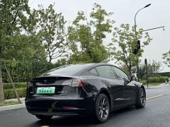 Tesla Model 3 Standard Range RWD Upgrade 3D6 - ფოტო 6
