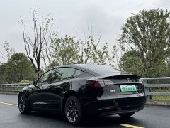 Tesla Model 3 Standard Range RWD Upgrade 3D6 - ფოტო 7