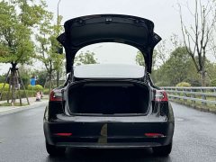 Tesla Model 3 Standard Range RWD Upgrade 3D6 - ფოტო 8