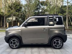 Geely Panda 210km Panda Knight - ფოტო 2