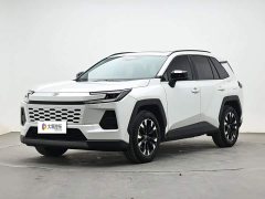 Toyota Wildland 2.0L PRO - ფოტო 1