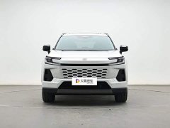 Toyota Wildland 2.0L PRO - ფოტო 2