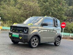 Geely Panda 210km Panda Knight - ფოტო 1