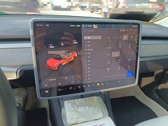 Tesla Model 3 2022 Rear-Wheel Drive - ფოტო 12