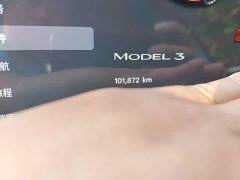 Tesla Model 3 2022 Rear-Wheel Drive - ფოტო 13