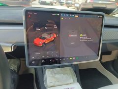 Tesla Model 3 2022 Rear-Wheel Drive - ფოტო 14