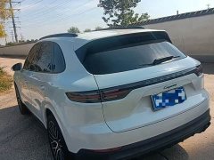 Porsche Cayenne 3.0T Platinum Edition - ფოტო 8