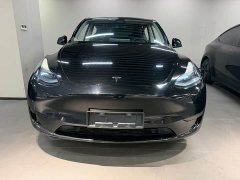 Tesla Model Y Rear-Wheel Drive - ფოტო 1