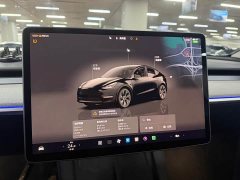 Tesla Model Y Rear-Wheel Drive - ფოტო 9