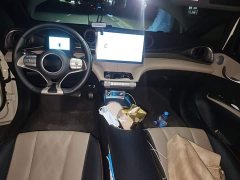BYD Dolphin 2025 420km Freedom Edition - ფოტო 10