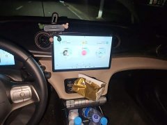 BYD Dolphin 2025 420km Freedom Edition - ფოტო 14