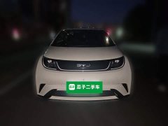 BYD Dolphin 2025 420km Freedom Edition - ფოტო 2