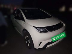 BYD Dolphin 2025 420km Freedom Edition - ფოტო 3