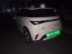 BYD Dolphin 2025 420km Freedom Edition - ფოტო 4