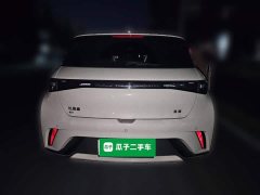 BYD Dolphin 2025 420km Freedom Edition - ფოტო 5