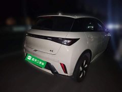 BYD Dolphin 2025 420km Freedom Edition - ფოტო 6