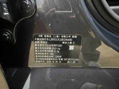 Tesla Model Y Rear-Wheel Drive - ფოტო 17