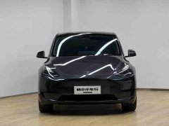 Tesla Model Y Rear-Wheel Drive - ფოტო 2