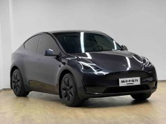 Tesla Model Y Rear-Wheel Drive - ფოტო 3