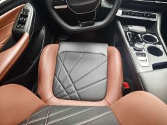 Changan Eado PLUS Blue Whale NE 1.4T GDI DCT High Performance Edition - ფოტო 8