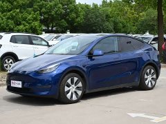 Tesla Model Y Long Range All-Wheel Drive 3D7 - ფოტო 1