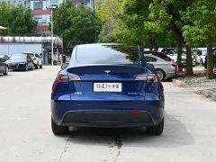 Tesla Model Y Long Range All-Wheel Drive 3D7 - ფოტო 4