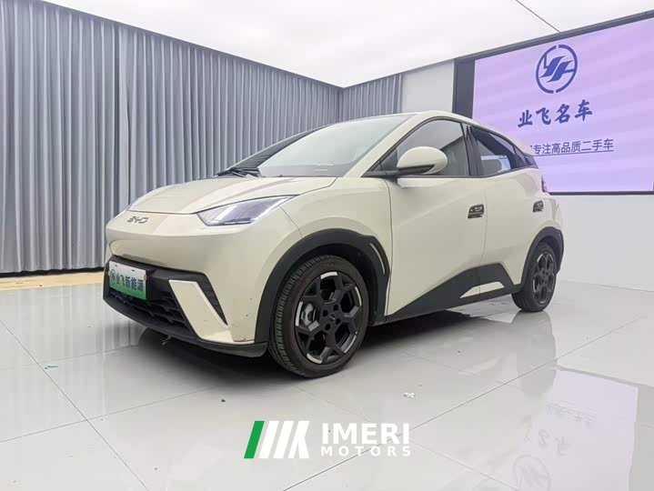BYD Seagull 2025 405km Flying Edition - ავტომობილი ჩინეთიდან