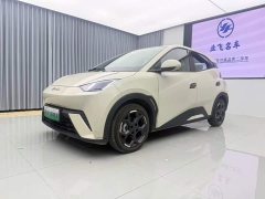 BYD Seagull 2025 405km Flying Edition - ფოტო 1