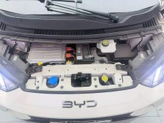 BYD Seagull 2025 405km Flying Edition - ფოტო 16
