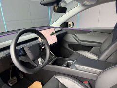 Tesla Model Y Rear-Wheel Drive - ფოტო 11