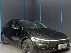 Tesla Model Y Rear-Wheel Drive - ფოტო 3