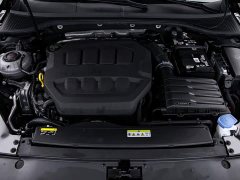 Volkswagen Magotan 30 Million Units Select Edition 380TSI DSG Luxury - ფოტო 20