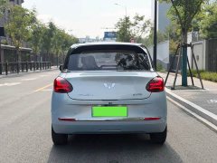 Wuling Binguo 410km Lingxi Premium Edition - ფოტო 11