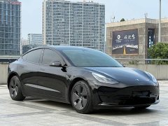 Tesla Model 3 2022 Rear-Wheel Drive - ფოტო 3