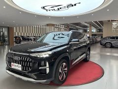 Audi Q6 40 TFSI quattro Cloud View Light Feather Forest Package - ფოტო 1