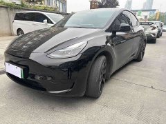 Tesla Model Y Rear-Wheel Drive - ფოტო 1