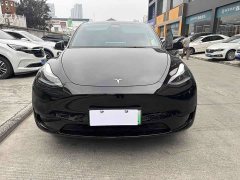 Tesla Model Y Rear-Wheel Drive - ფოტო 2