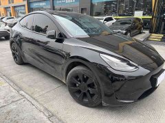 Tesla Model Y Rear-Wheel Drive - ფოტო 3