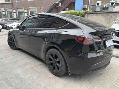 Tesla Model Y Rear-Wheel Drive - ფოტო 7
