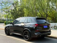 BMW X5 2023 xDrive 30Li Exclusive M Sports Night Package - photo 16