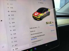 Tesla Model Y 2022 Rear-Wheel Drive - ფოტო 10