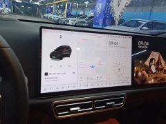 Li Auto L7 Pro - ფოტო 13
