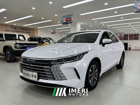 2024 BYD Destroyer 05 Glory Edition DM-i 55KM Luxury
