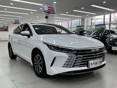 BYD Destroyer 05 Glory Edition DM-i 55KM Luxury - ფოტო 3