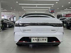 BYD Destroyer 05 Glory Edition DM-i 55KM Luxury - ფოტო 5