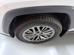 Toyota Wildland 2.0L CVT FWD Luxury Plus - ფოტო 5