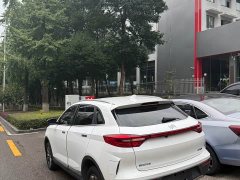 Weltmeister WM Motor EX5-Z Nex Explorer Edition - ფოტო 7